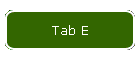 Tab E